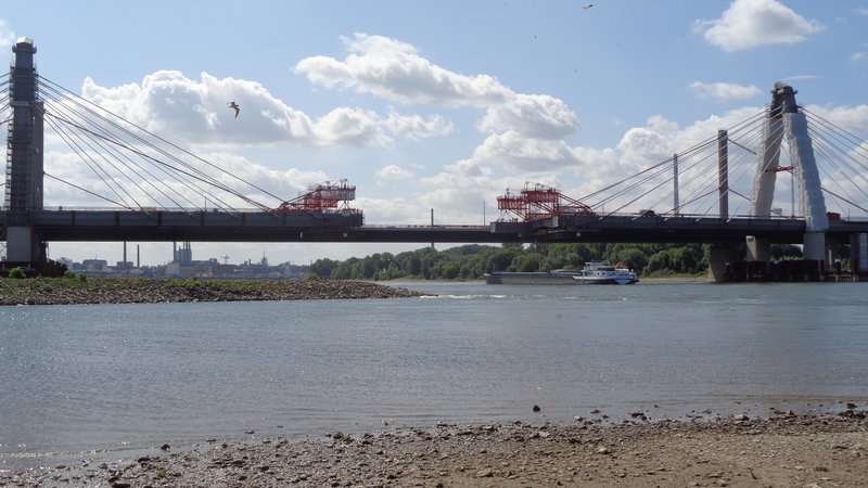 Blick auf den Rhein mit der Rheinbrücke Leverkusen auf der auffällige rote Hilfskonstruktionen stehen.