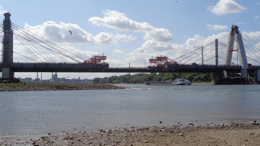 Blick auf den Rhein mit der Rheinbrücke Leverkusen auf der auffällige rote Hilfskonstruktionen stehen.